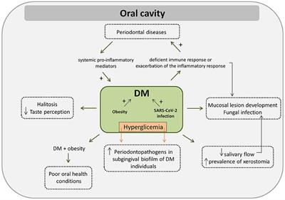 Interplay Among the Oral Microbiome, Oral Cavity Conditions, the Host Immune Response, Diabetes Mellitus, and Its Associated-Risk Factors—An Overview